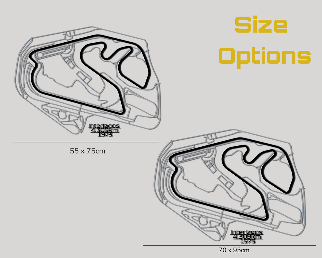 Interlagos Circuit Metal Wall Art