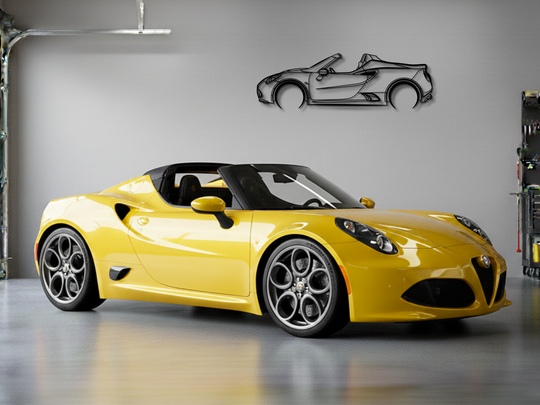 4C Spider, Detailed Silhouette Metal Wall Art