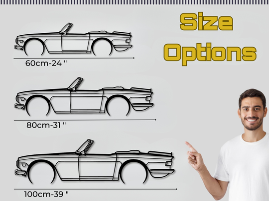 TR6, Detailed Silhouette Metal Wall Art