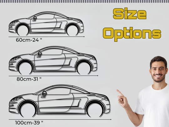 RCZ , Detailed Silhouette Metal Wall Art