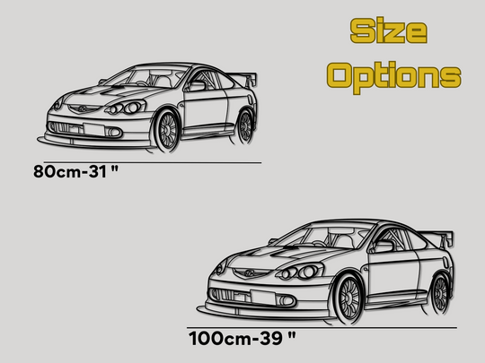 Modified DC5 Front Angle, Detailed Silhouette Metal Wall Art